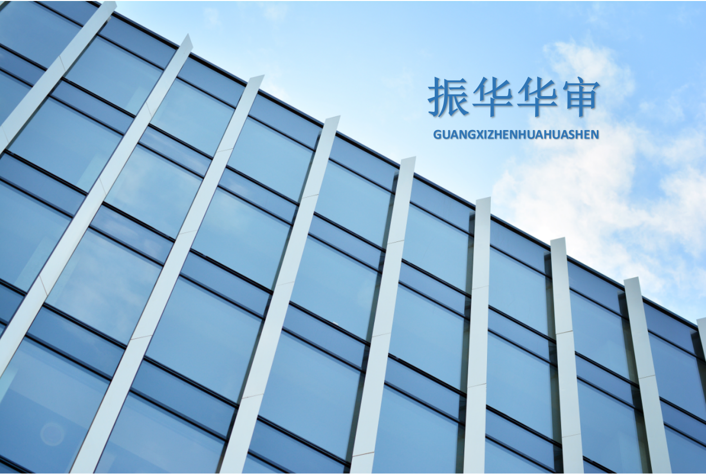 广西振华华审咨询有限公司