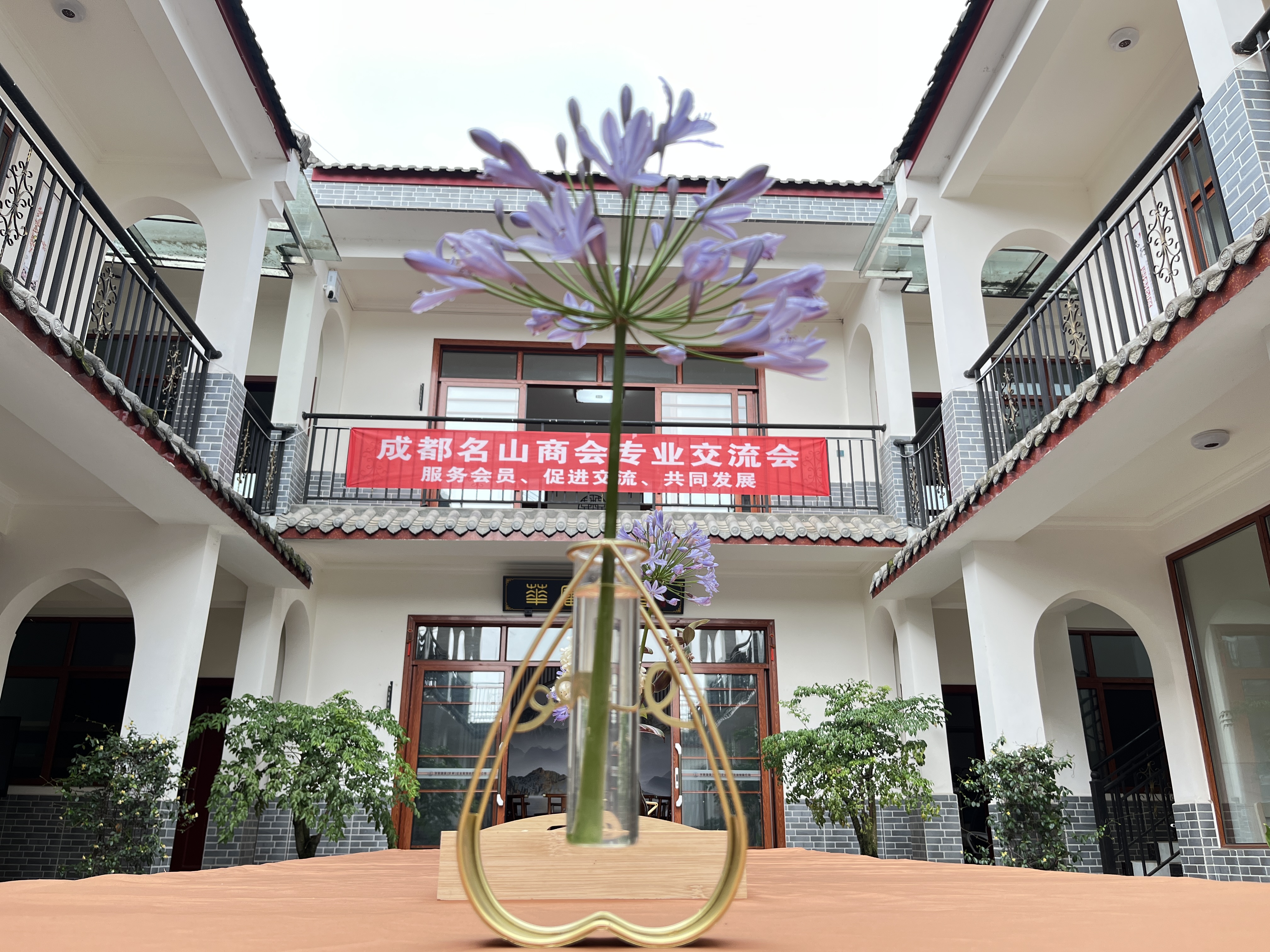 资讯 | 提高企业风险防患意识 华审助力企业良性发展